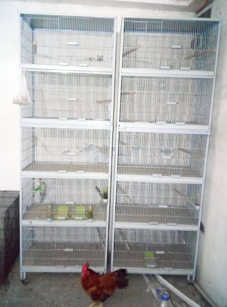 2 cages 2
