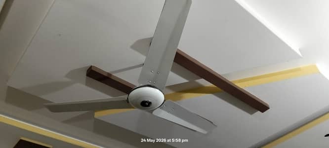 Royal ceiling fan for sale