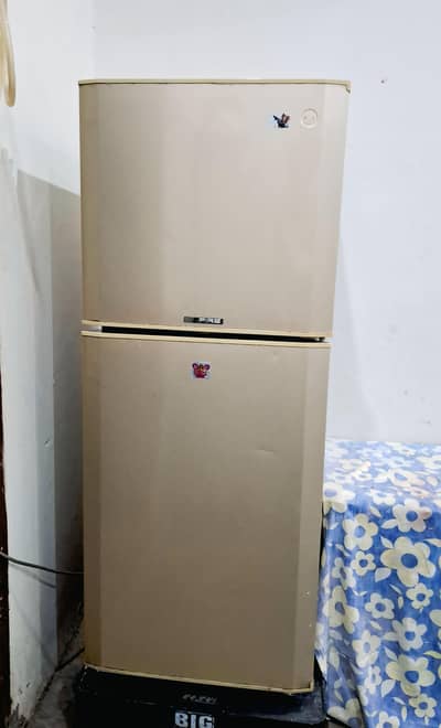 PEL Frige