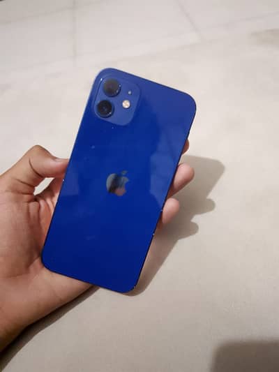 iPhone 12 Non PTA [Exchange Possible)