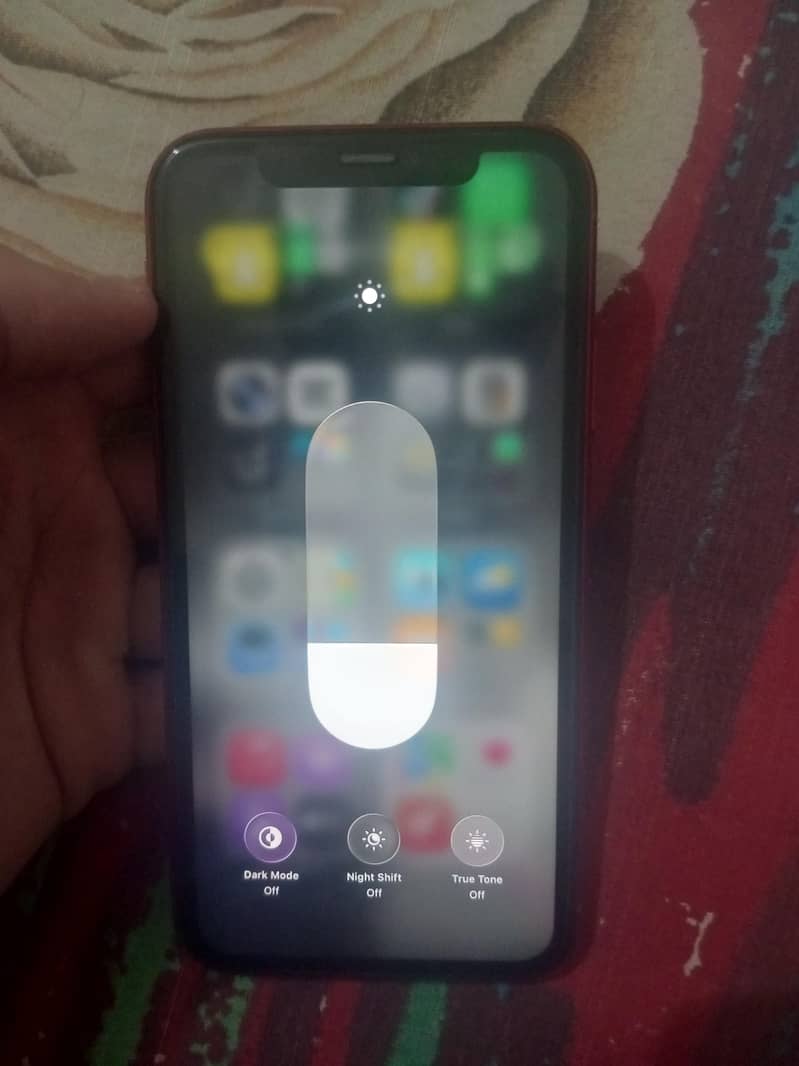 Apple iPhone 11 1