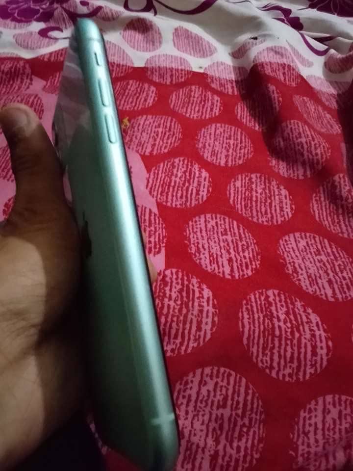 Apple iPhone 11 1