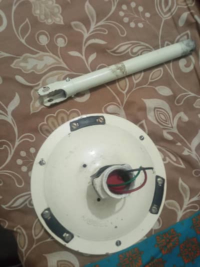celling fan