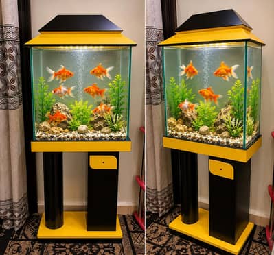 fish aquarium  used