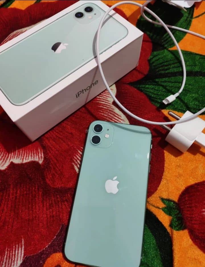 Apple iPhone 11 1