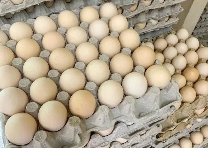 Edible duck and hen eggs for sale