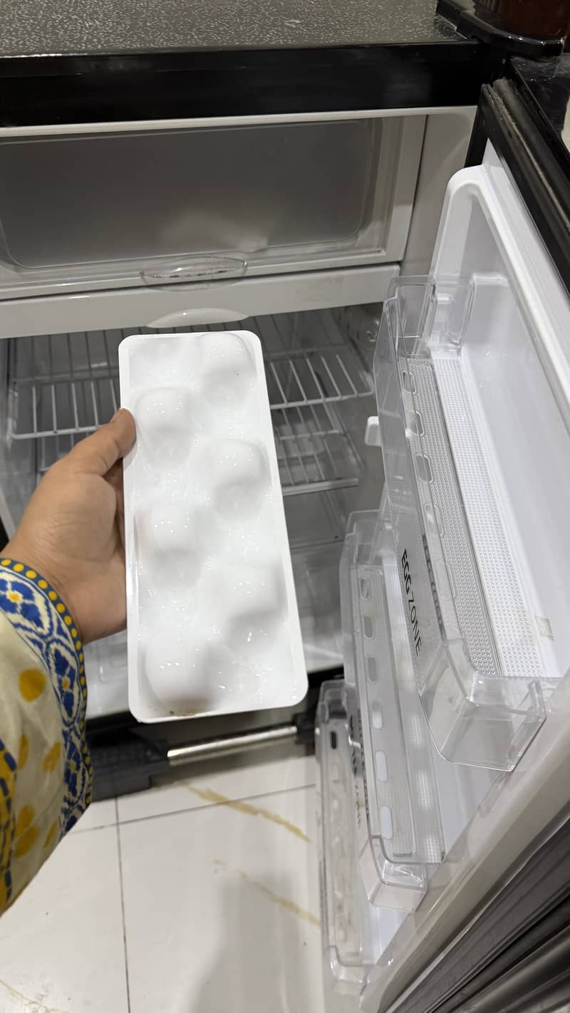 Medium Size fridge 2