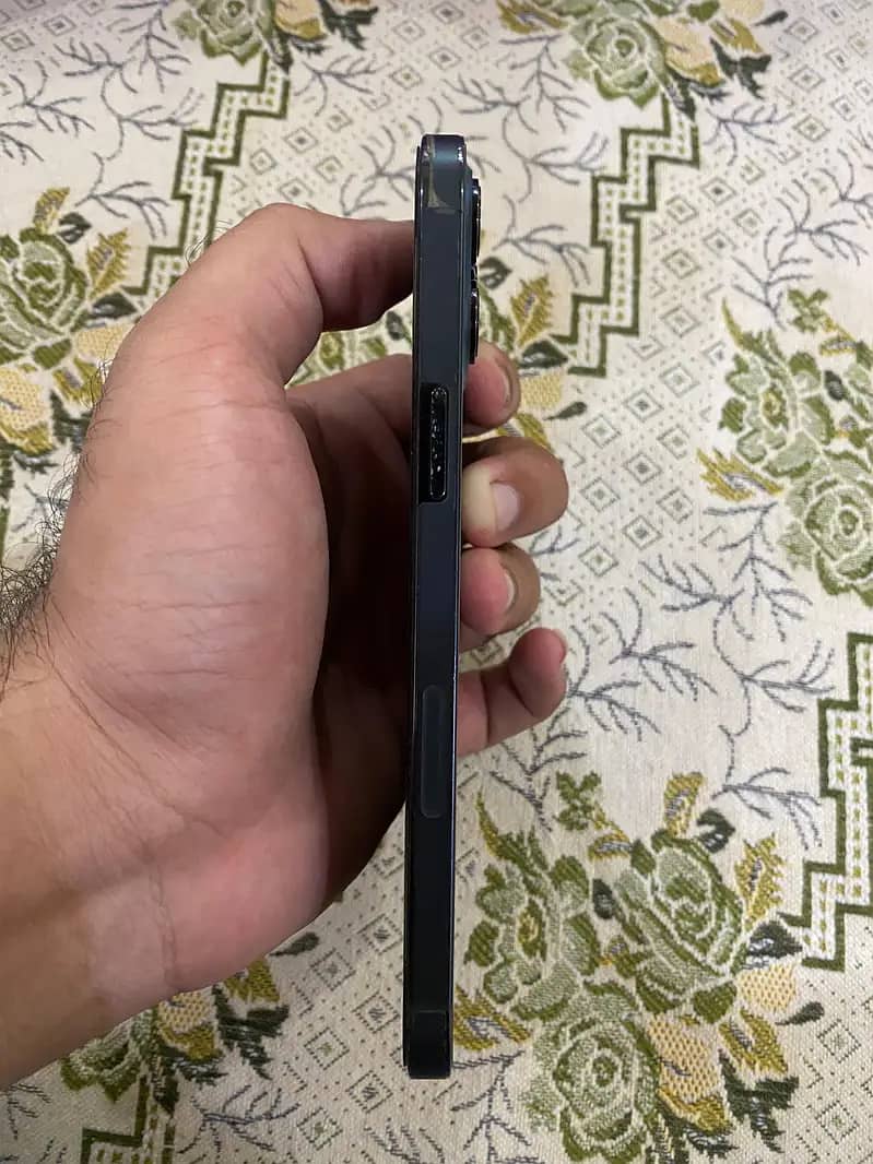 12 pro mex 0