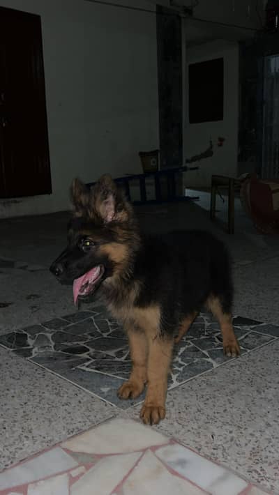 For sale