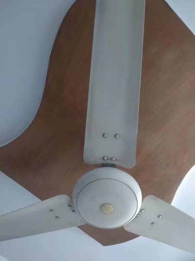 royal fan for sale