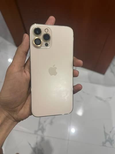 iPhone 12 Pro Max