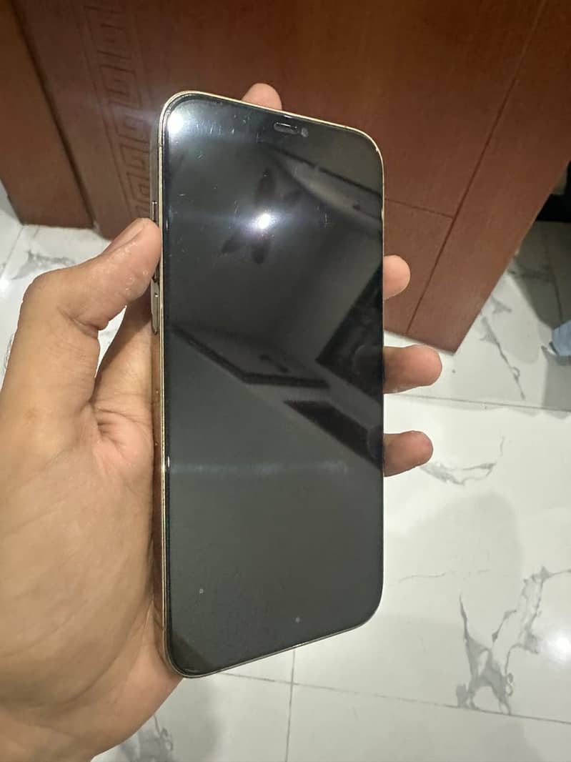 iPhone 12 Pro Max 1