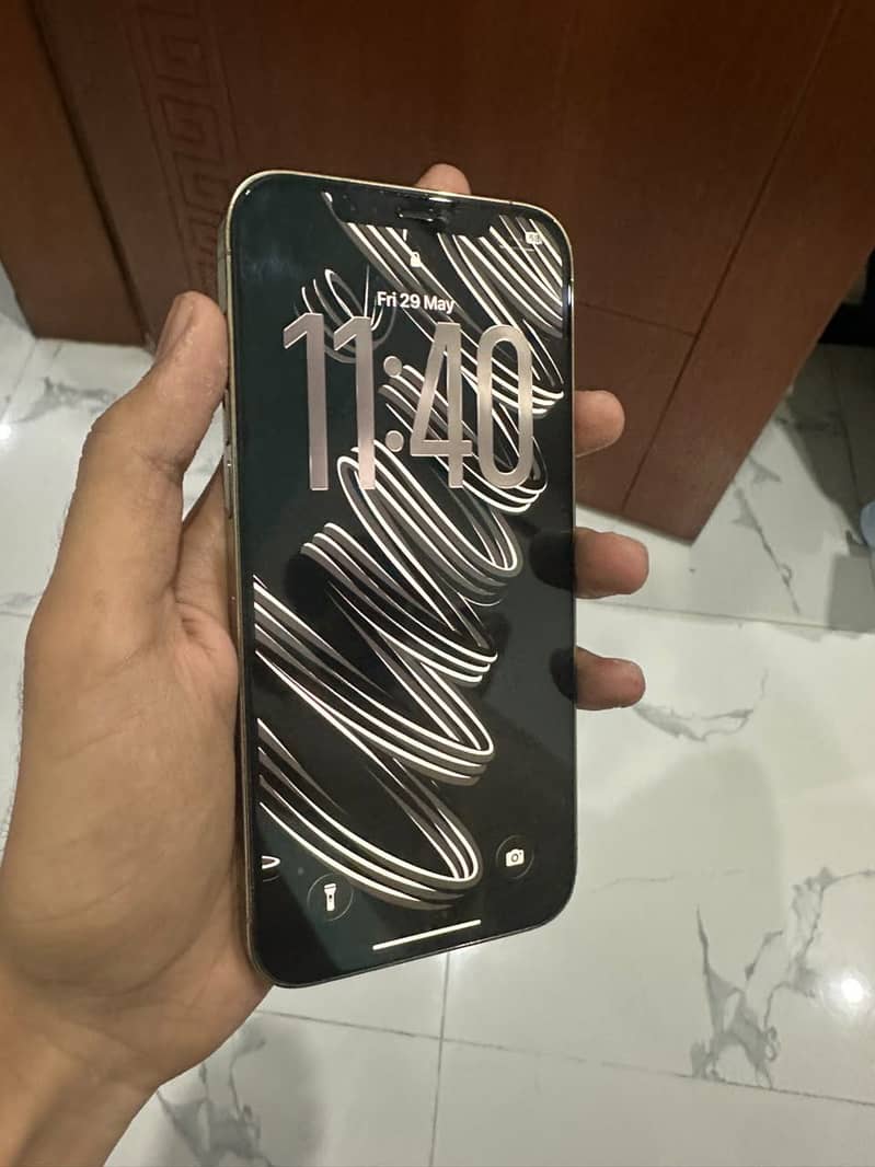 iPhone 12 Pro Max 2