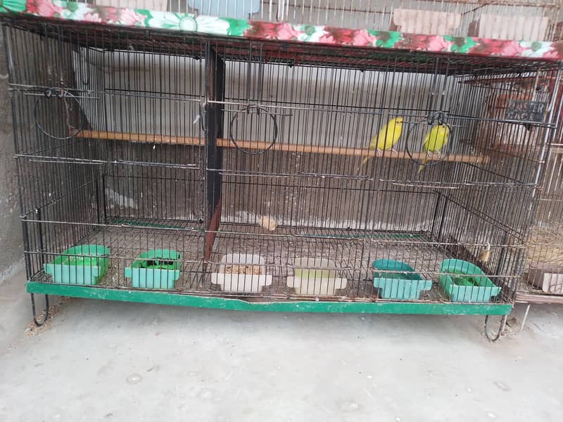 2 Cages 1
