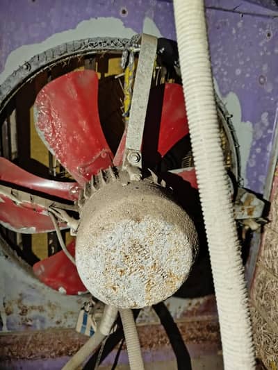 Lahori air cooler