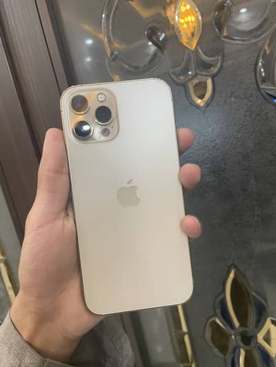 Iphone 12 Pro Max