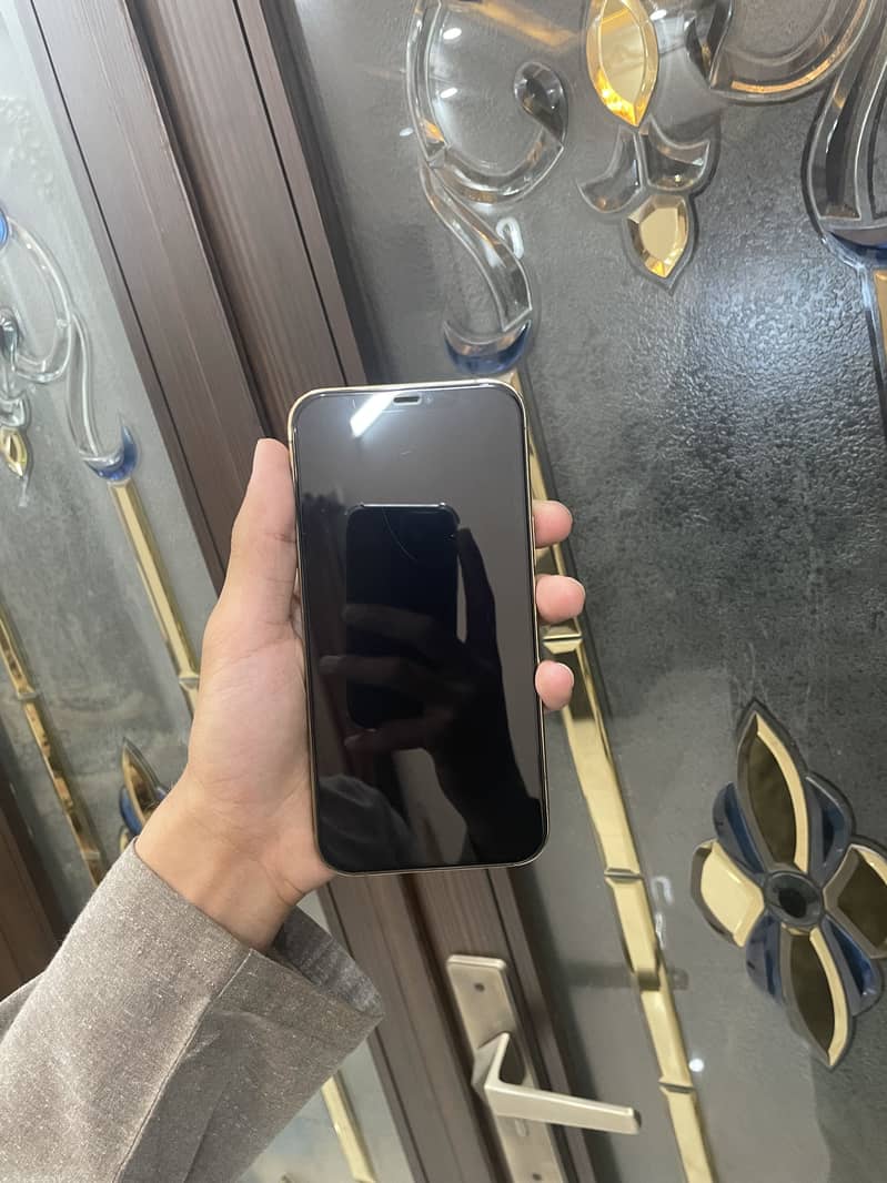 Iphone 12 Pro Max 2
