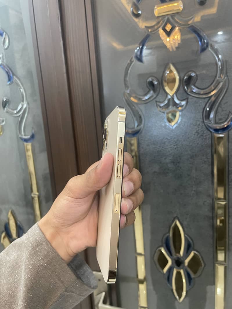 Iphone 12 Pro Max 4