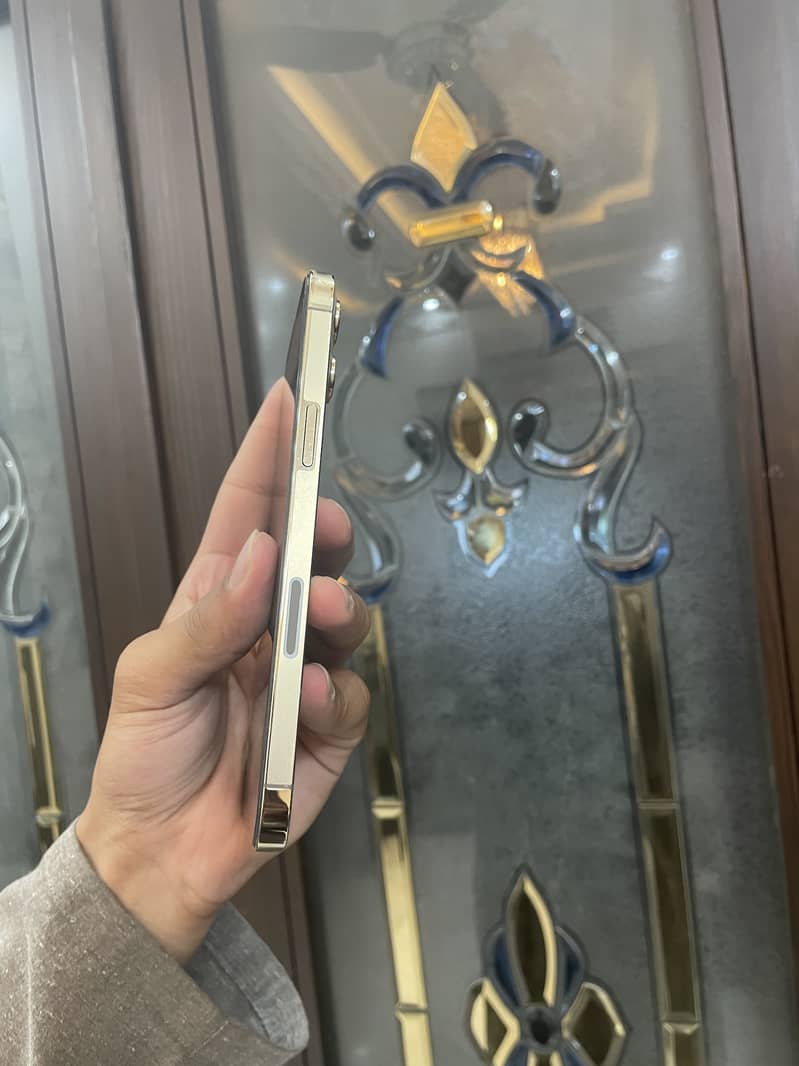 Iphone 12 Pro Max 5