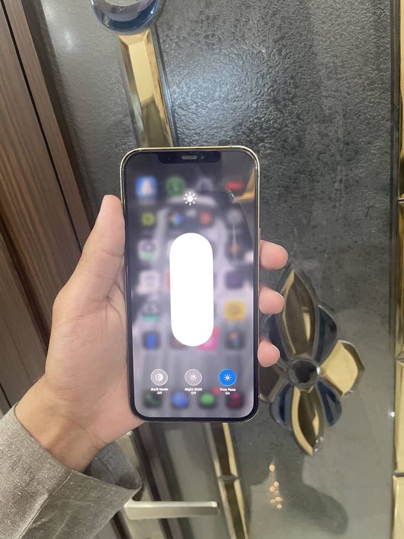 Iphone 12 Pro Max 6