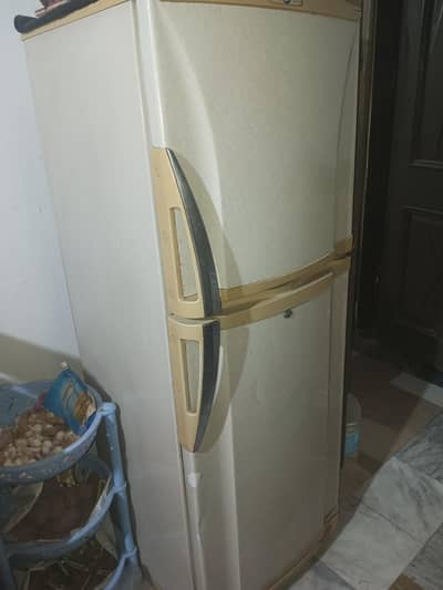 Pel Mideum size fridge