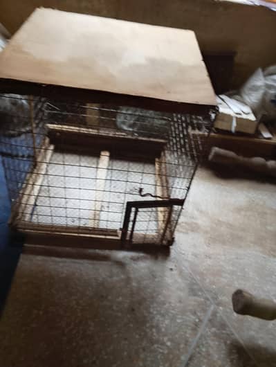 birds cage for sale