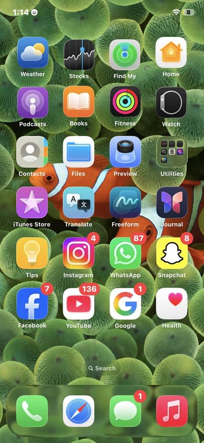 iphone 11 for sale all okay battery change