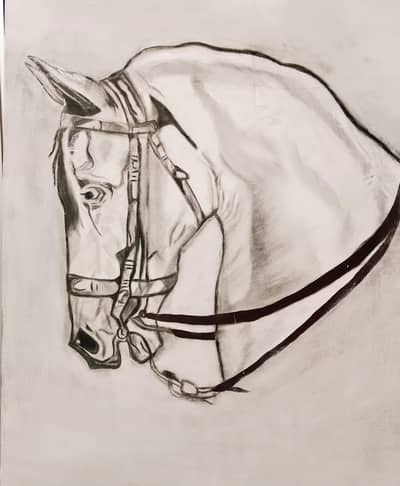 horse