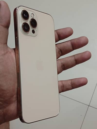 iPhone 12 Pro Max Factory Unlocked golden colo 03138928220r