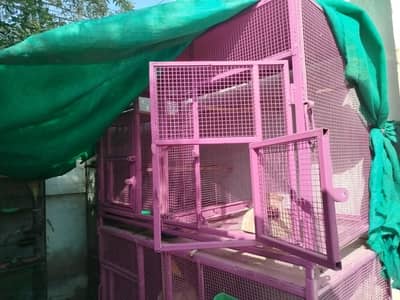 bird and hens cage