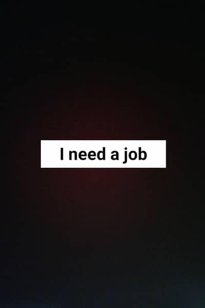 I need a job