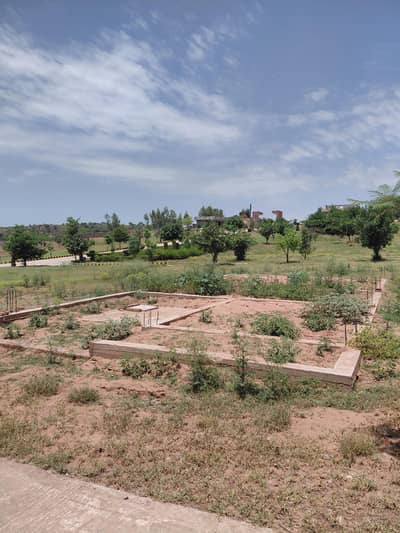 rose valley 5 marla plot available