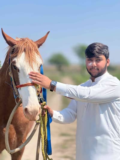 Abdullah Baloch