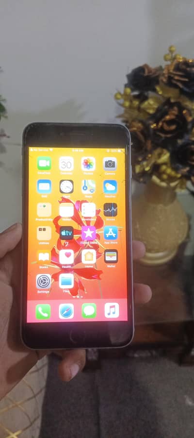 Apple iPhone 6 Plus