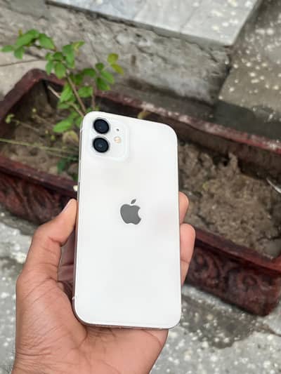 Iphone 12 256gb dual pta