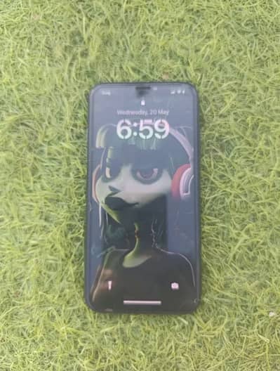 iPhone X Approved