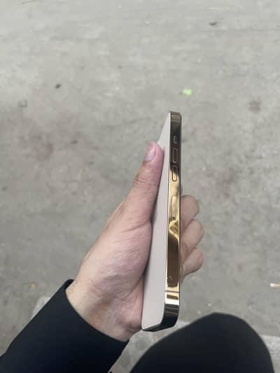 iphone 13pro 512 Gb Dual PTa