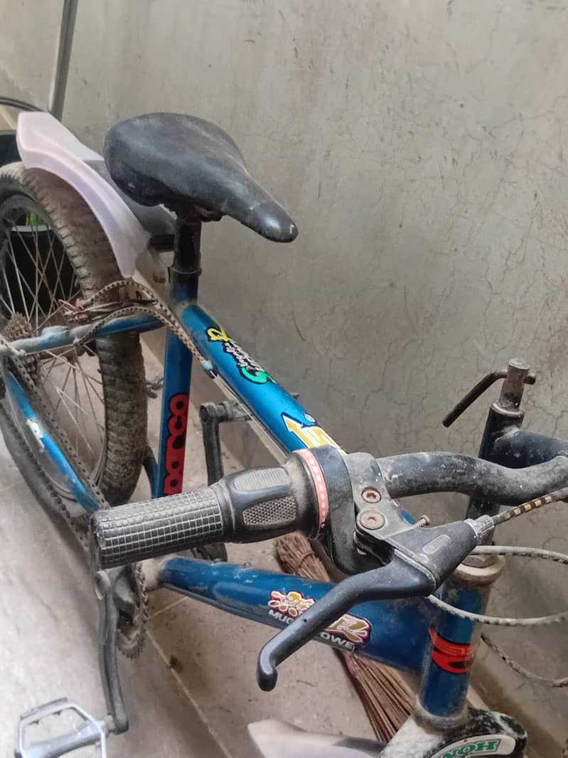 Geared cycle 3