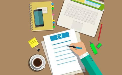 Professional CV Writer