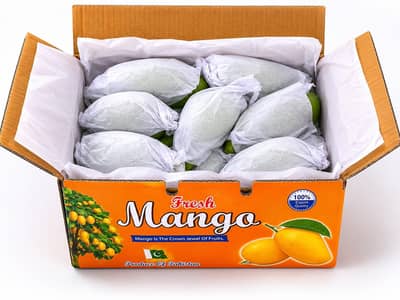 10 kg premium Sindhri Mango gift Box