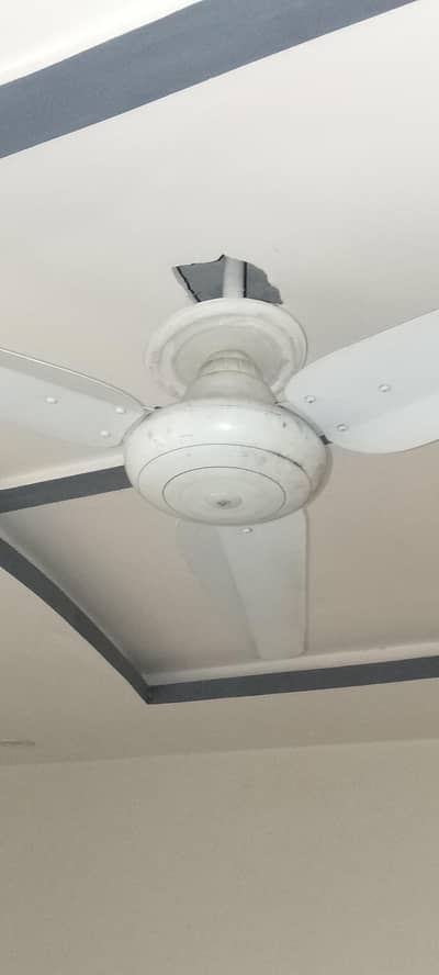 sk fan 56 inches