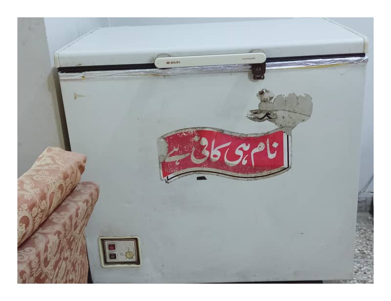 قصائی، دودھ اور سبزی والوں کے لیے کولڈ اسٹوریج ڈیپ فریزر 1