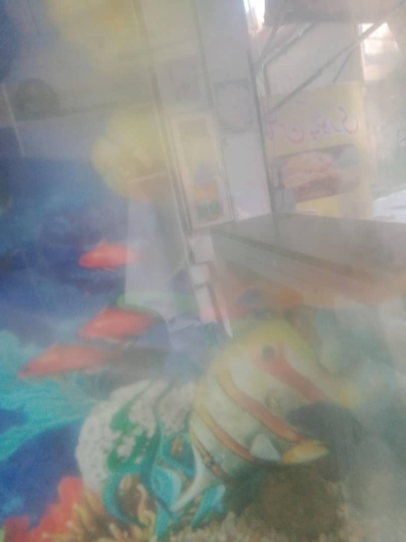 fish  combodian 7
