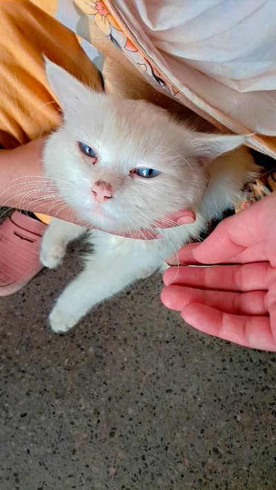 badshah