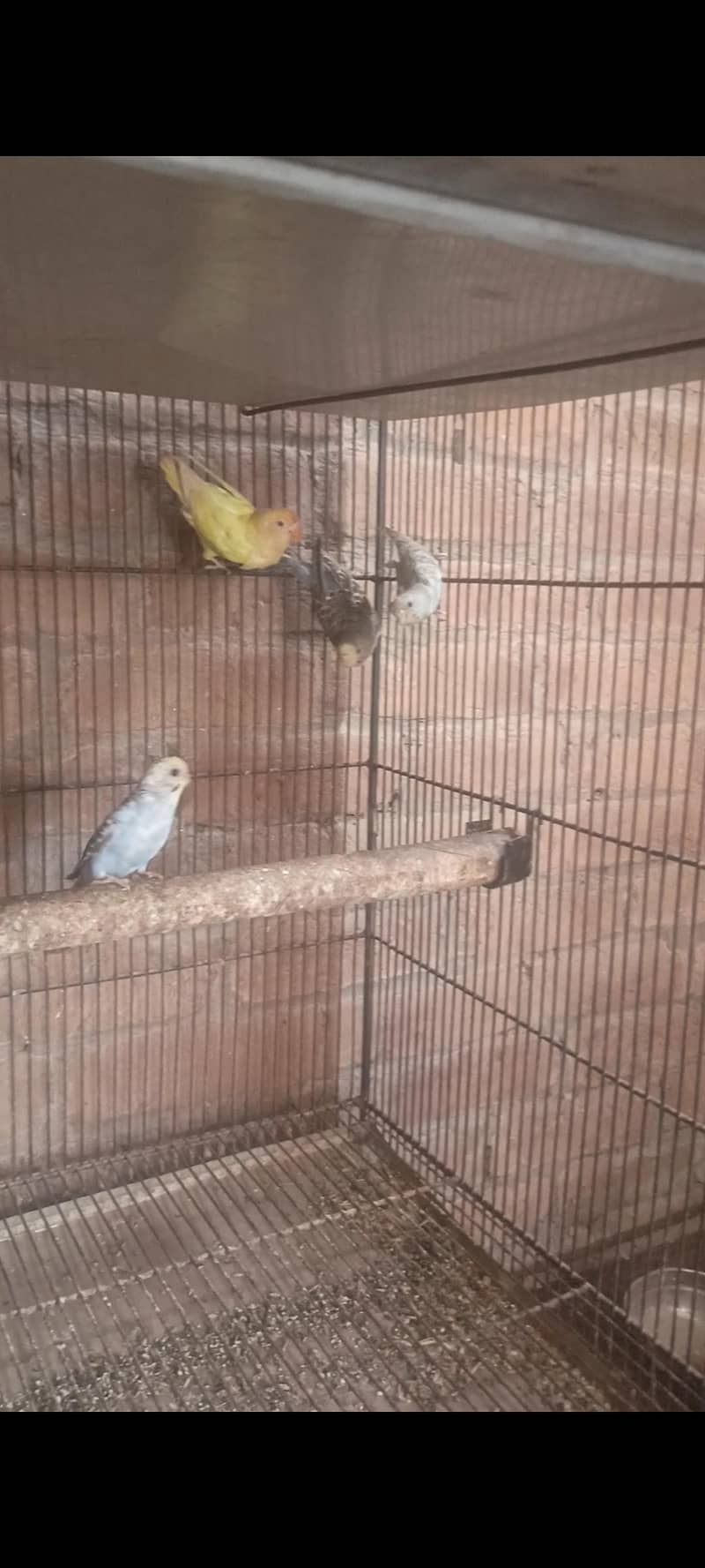 03092525555 8