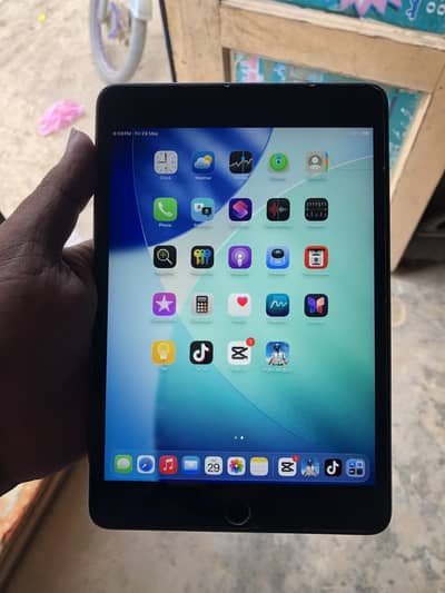 iPad Mini 5 all ok With original Box Carger