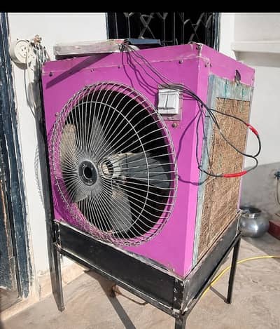 DC 12 V Cooler Local Brand