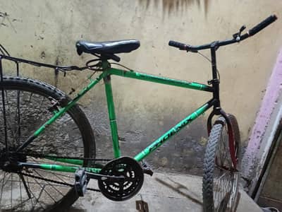 phonex cycle