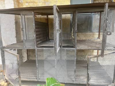 Premium Quality 4 Khano Wala & Double Chhat Cage For sale