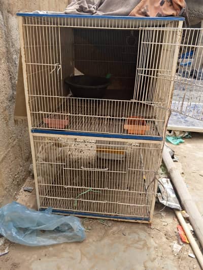 cage 1.5 foot height 4 feet length